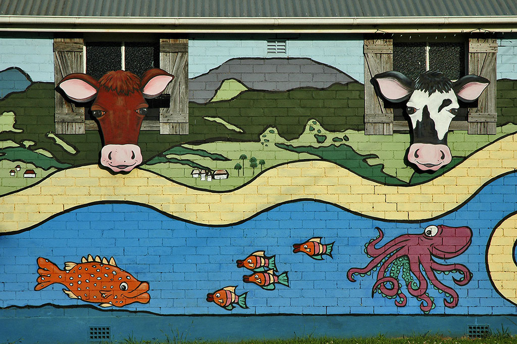  Colourful mural, Gerringong. 