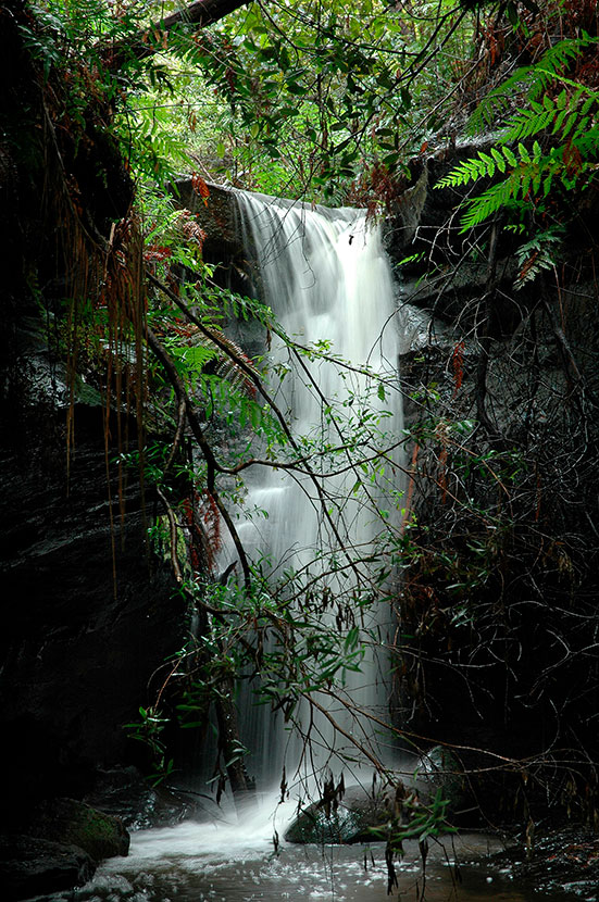  Bulcamatta Falls, Blue Moiuntains National Park. 