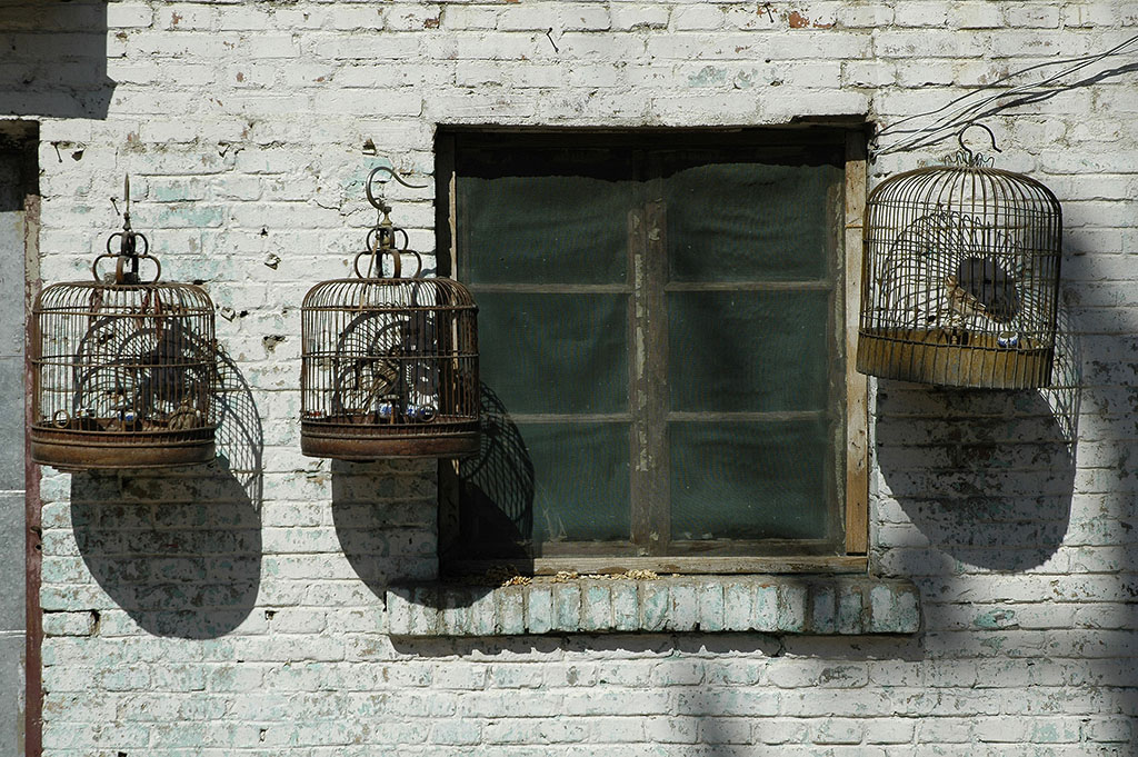  Bird cages, Erlian railway station. 