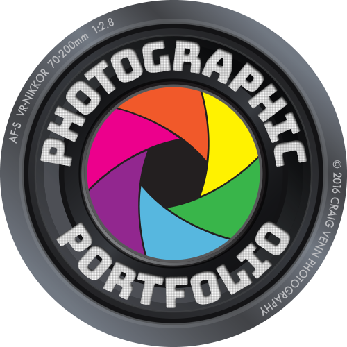 Welcome to Photographic Portfolio!
